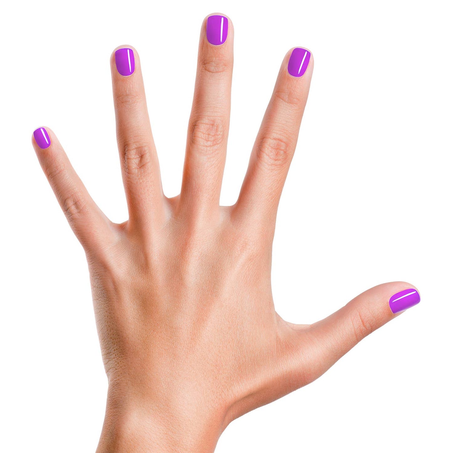 Groovy Grape