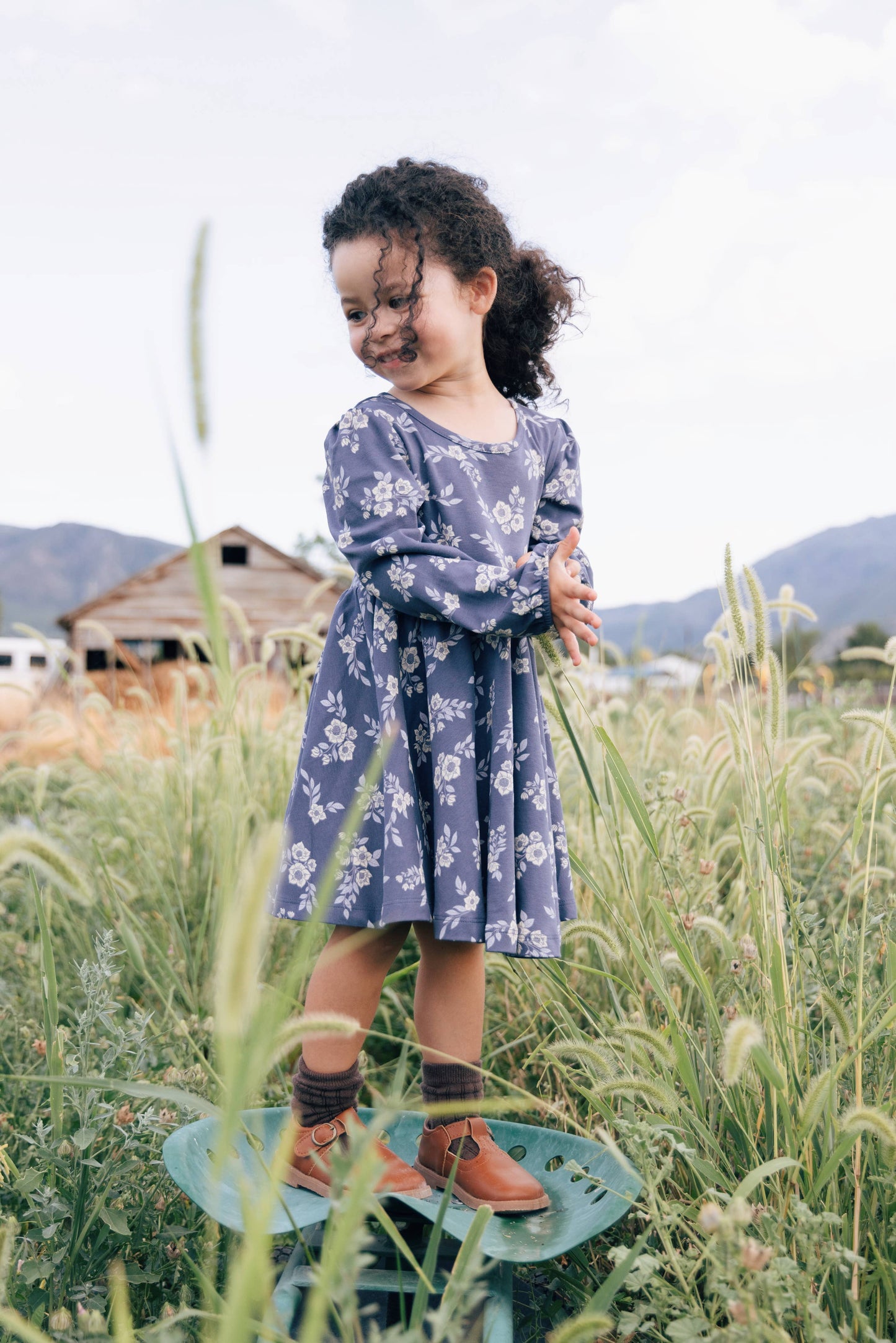 Twirl Dress || Hellebore Floral